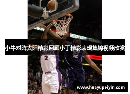 小牛对阵太阳精彩回顾小丁精彩表现集锦视频欣赏